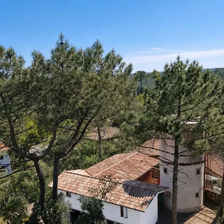 Panoramic Water Tower And Perched